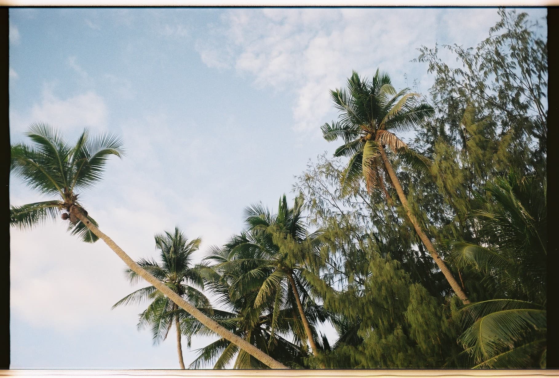 Image carousel image