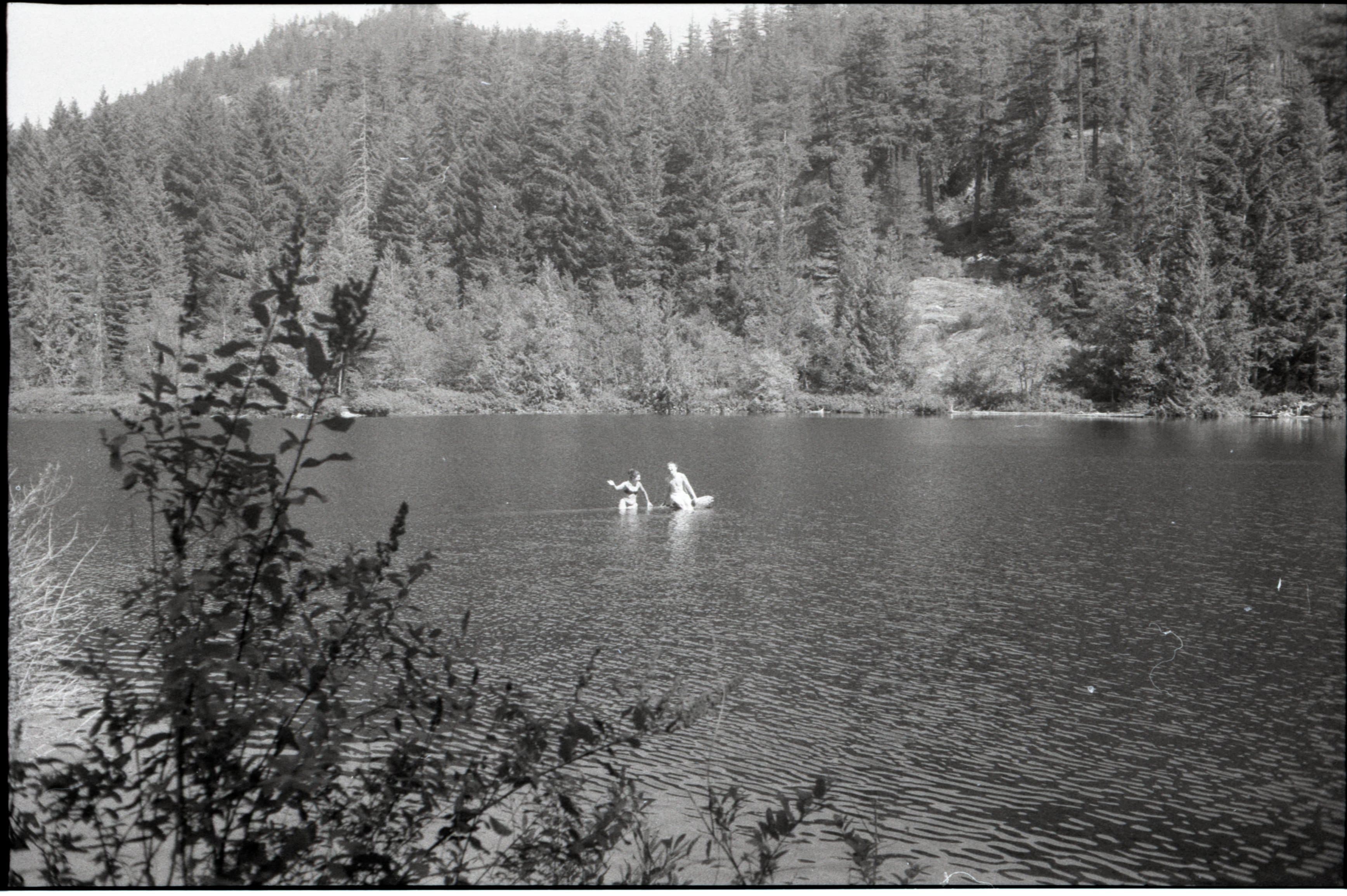 Image carousel image